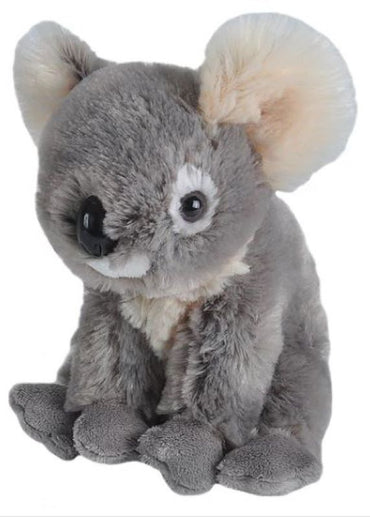 Cuddlekins  Mini Koala
