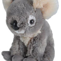 Cuddlekins  Mini Koala