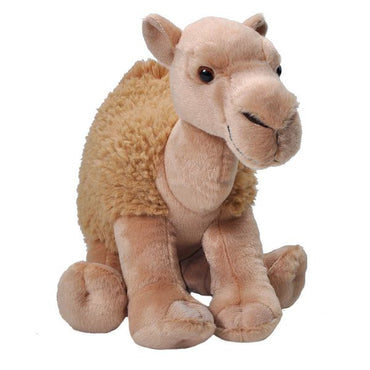 CK Camel Dromedary 12"  11511